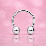 Titan Circular Barbell Silber