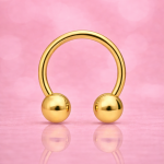 Titan Circular Barbell Gold